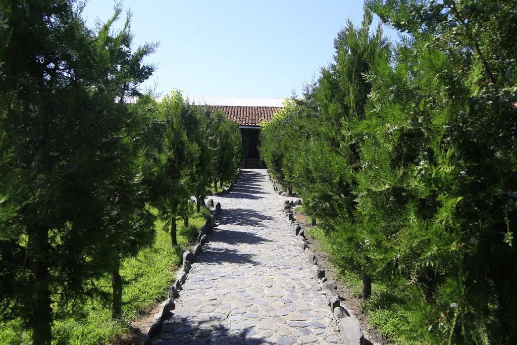 Chateau Bruale Tkhilistskaro Exterior foto